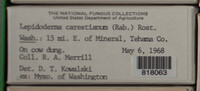 Image Associated With the Occurence